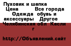 Пуховик и шапка  Adidas  › Цена ­ 100 - Все города Одежда, обувь и аксессуары » Другое   . Челябинская обл.,Касли г.